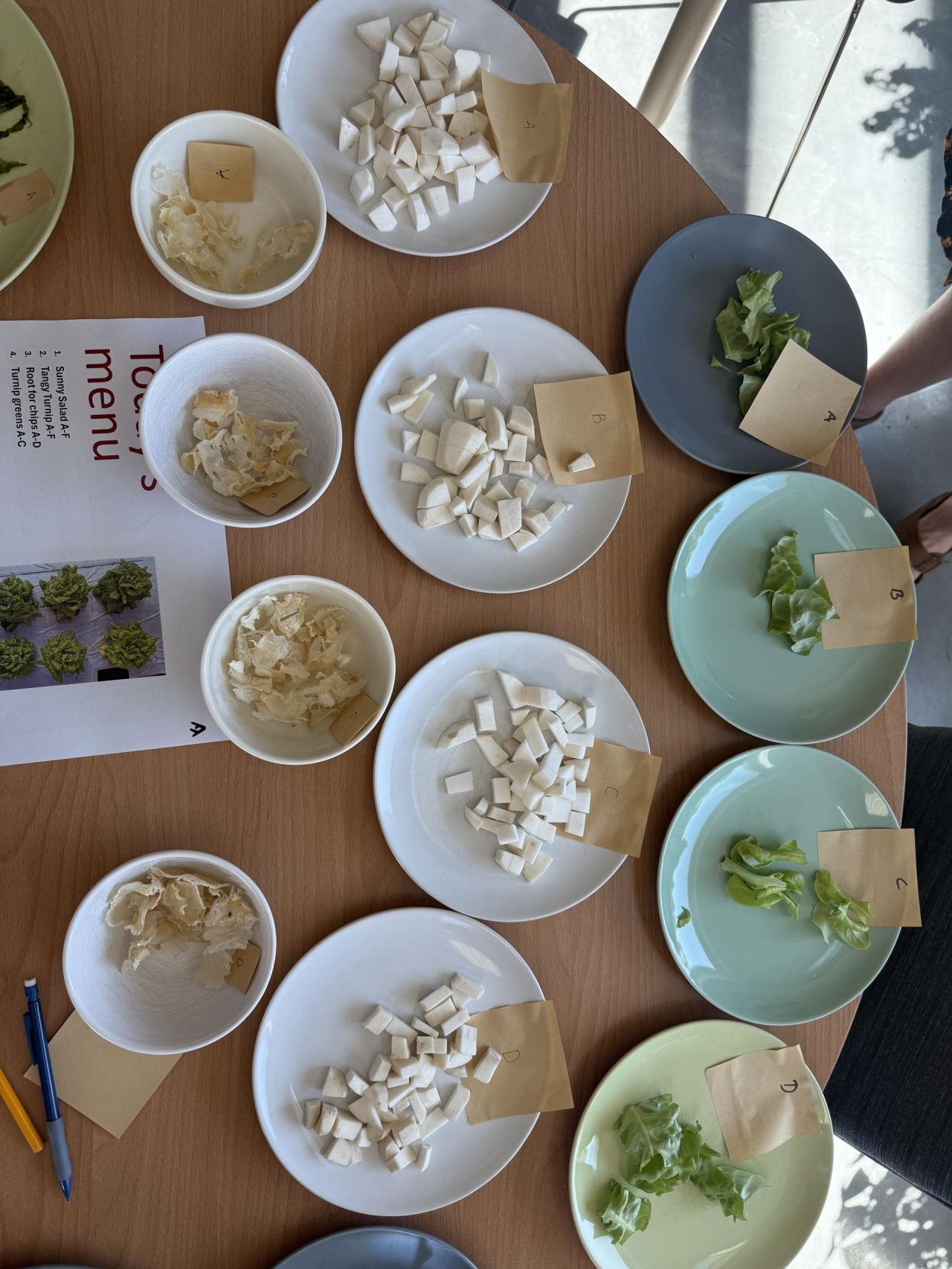 Several plates and bowls on a wooden table contain different food samples labeled with letters A, B, C, and D. The plates hold chopped white root vegetables, while the bowls contain dried, thin, light-colored chips. Additional plates hold small portions of leafy greens. A printed menu titled "Tossy's menu" lists four items: Sunny Salad A-F, Tangy Turnip A-F, Root for Chips A-D, and Turnip Greens A-C. Two pens, one blue and one yellow, are also on the table.