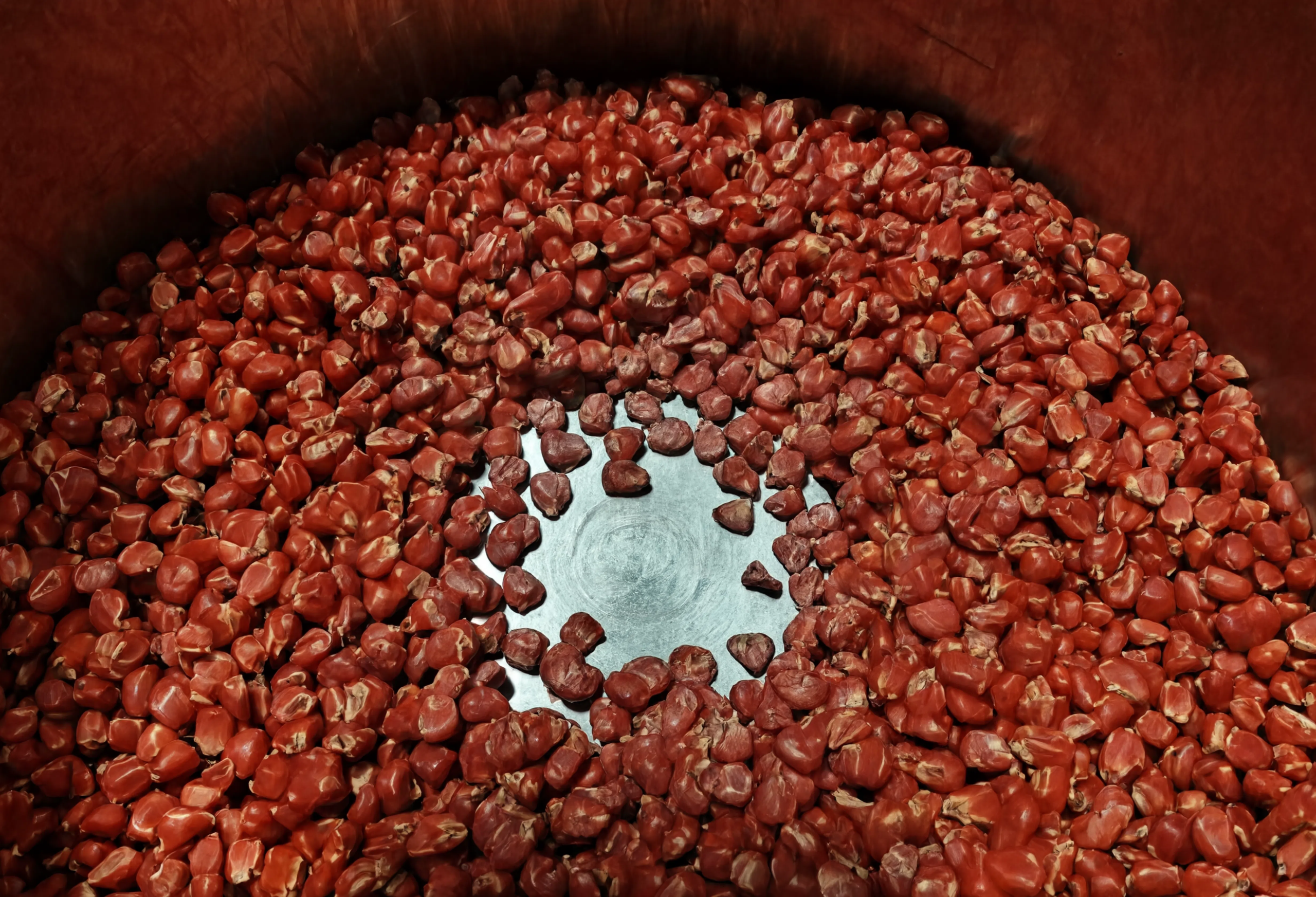 A close-up view of a large quantity of red corn kernels arranged in a circular pattern inside a container with a metallic bottom. The kernels are densely packed around the edges and more sparse towards the center, revealing the shiny metal surface.