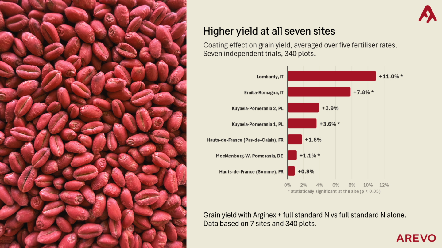 Red-coated grain seeds fill the left side of the image. On the right, a bar chart titled "Higher yield at all seven sites" shows the coating effect on grain yield averaged over five fertilizer rates from seven independent trials with 340 plots. The chart lists seven locations with corresponding yield increases: Lombardy, IT (+11.0%*), Emilia-Romagna, IT (+7.8%*), Kuyavia-Pomerania 2, PL (+3.9%), Kuyavia-Pomerania 1, PL (+3.6%*), Hauts-de-France (Pas-de-Calais), FR (+1.8%), Mecklenburg-W. Pomerania, DE (+1.1%*), and Hauts-de-France (Somme), FR (+0.9%). A note indicates statistical significance at sites marked with an asterisk (p < 0.05). Below, text states the grain yield comparison is between Arginex plus full standard nitrogen versus full standard nitrogen alone, based on data from 7 sites and 340 plots. The AREVO logo is at the bottom right.