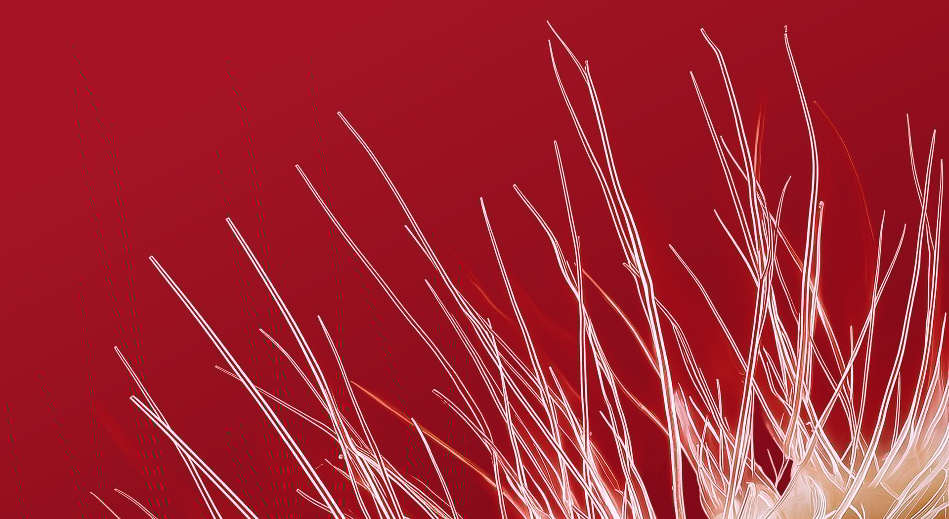 Arginex_background_2560x1400