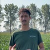 Ettore di Biase_Agricola