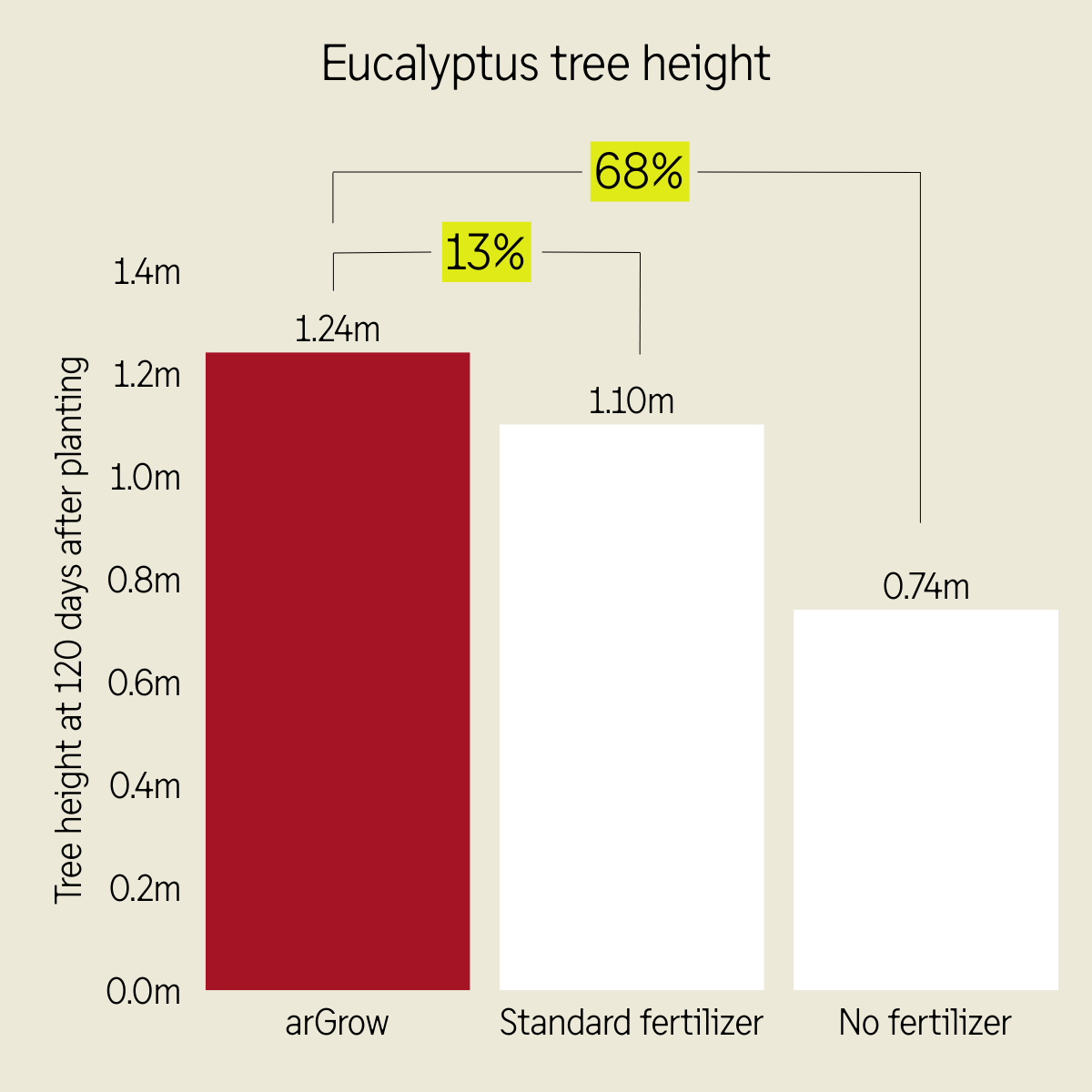 Eucalyptus tree height
