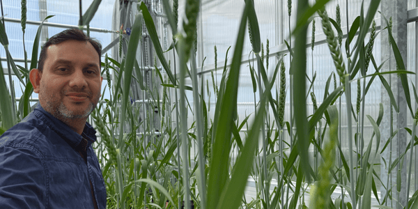 From Sri Lanka to Sweden: How Gayan found his way to Arevo greenhouse
