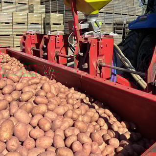 Potato yield machine