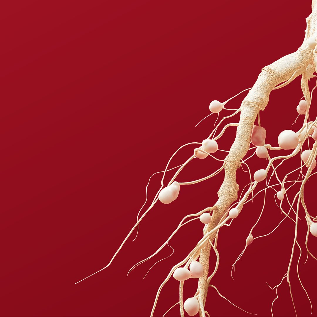 Root_Network_Arevo-homepage-banner-mobile