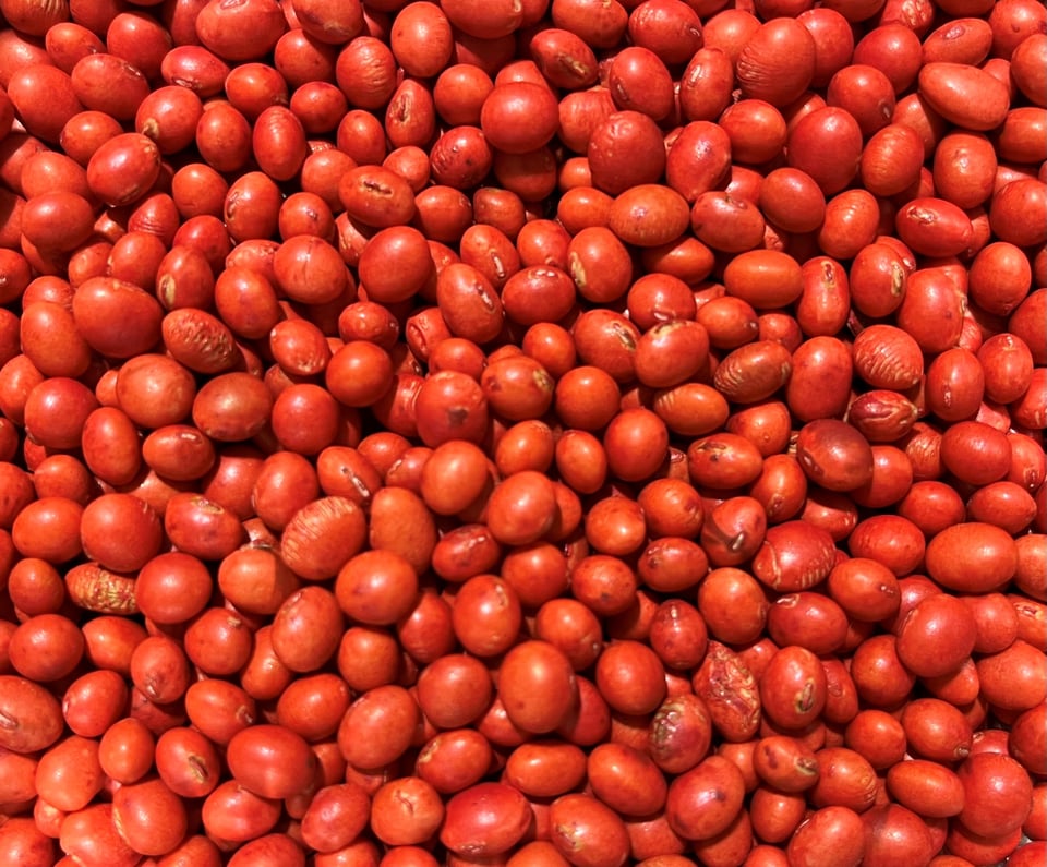 Seed coating soy