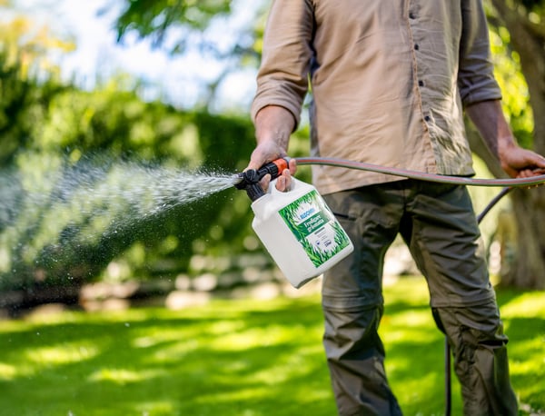 From research lab to garden: Arevo and Algomin launch sustainable fertilizer for home lawns