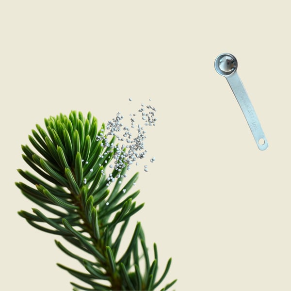 Beviset finns i skogen: vad data säger om arGrow