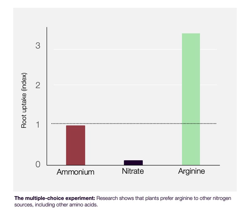 arevo-arginine-preferred-by-plants