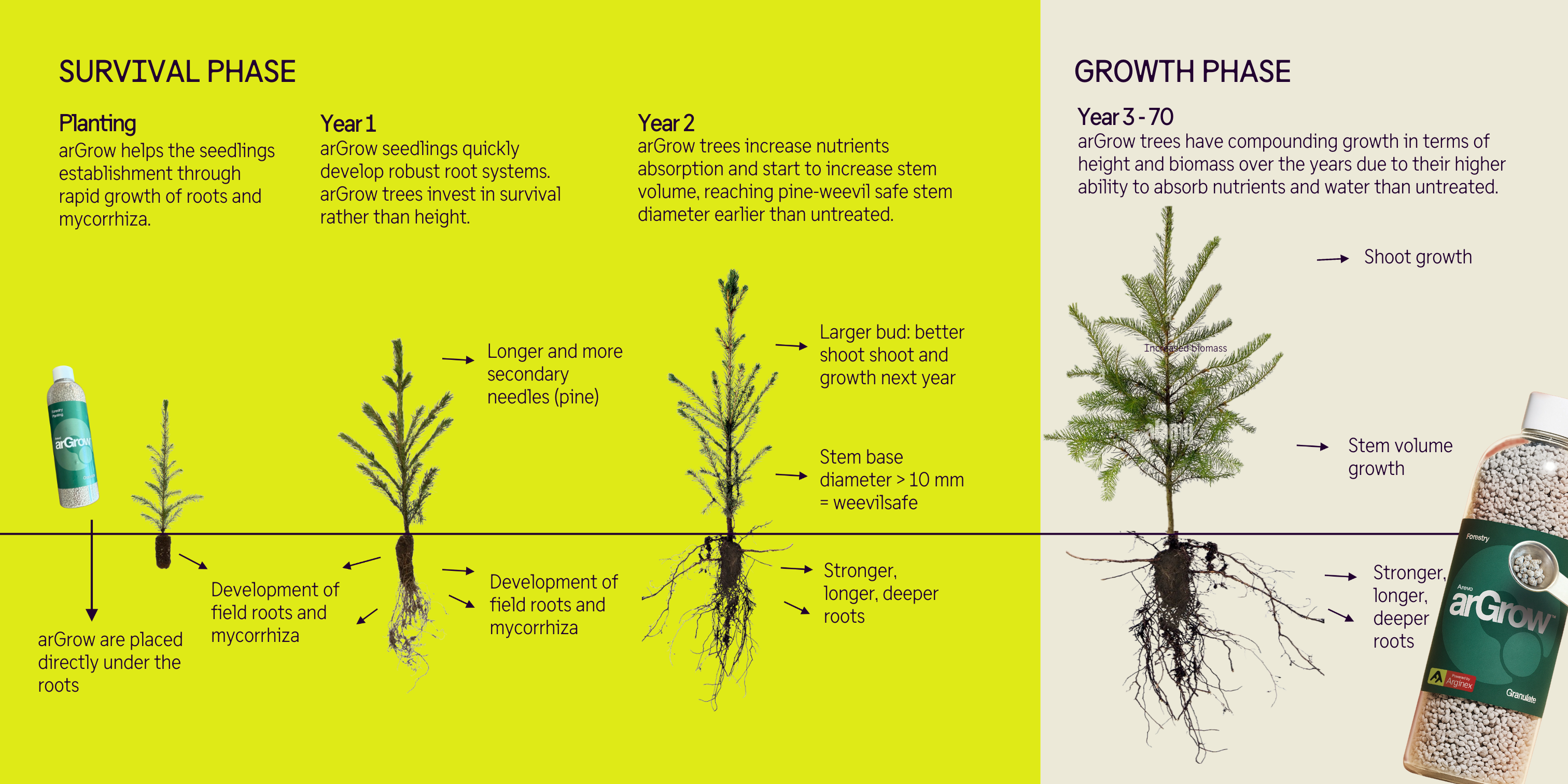 compounding-growth-argrow-english