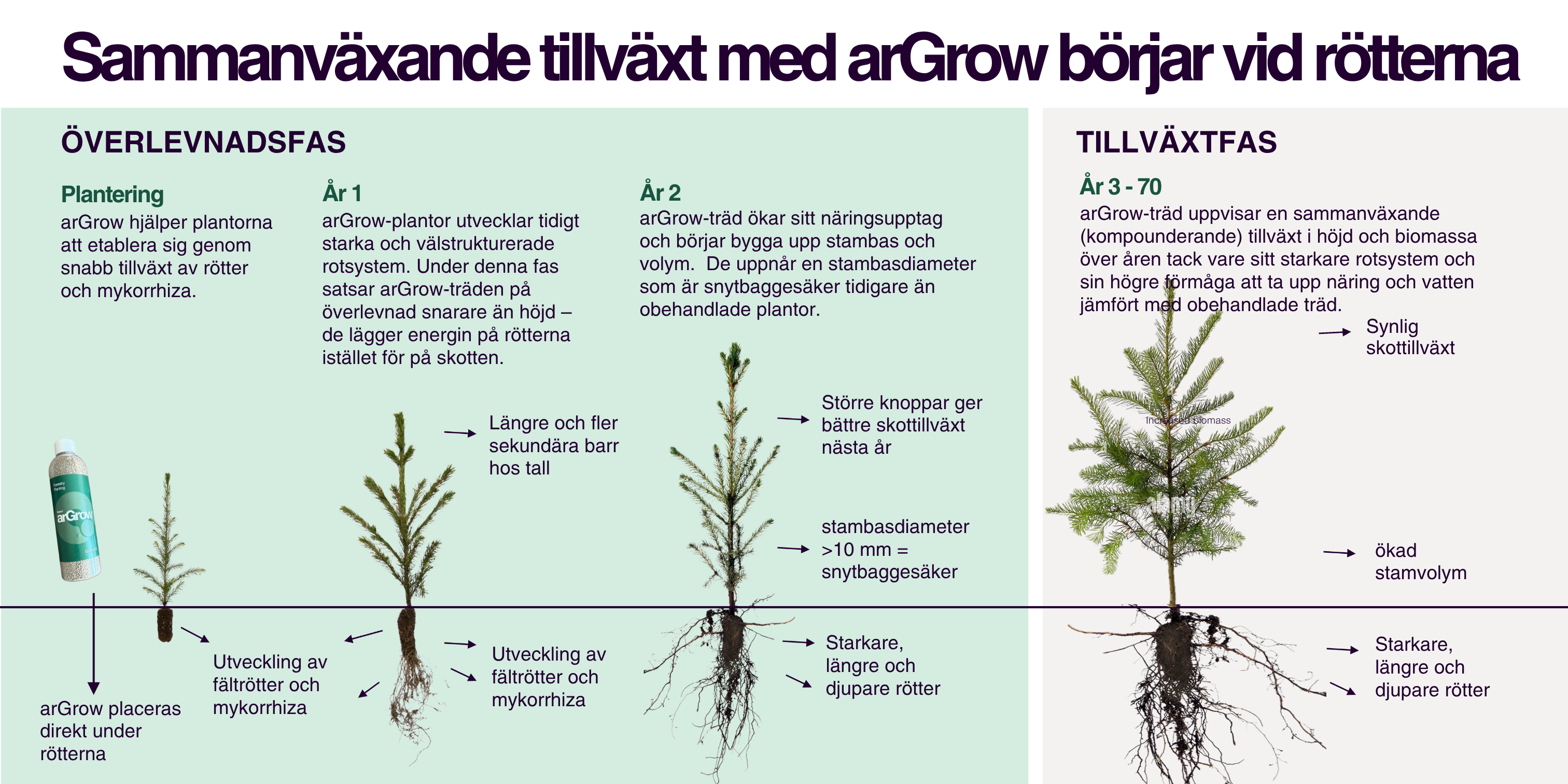 compounding-growth-argrow-swedish