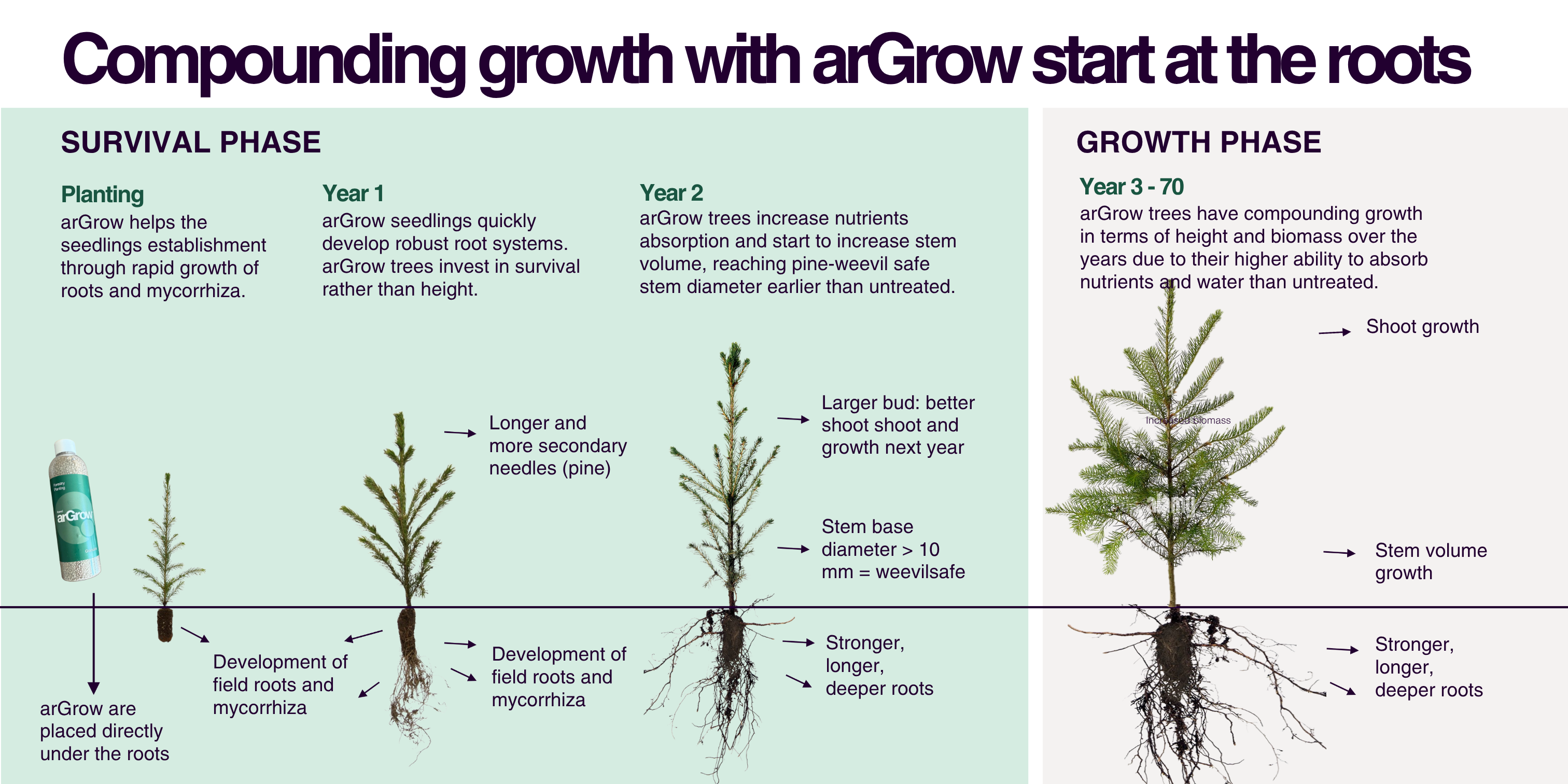 compounding-growth-argrow