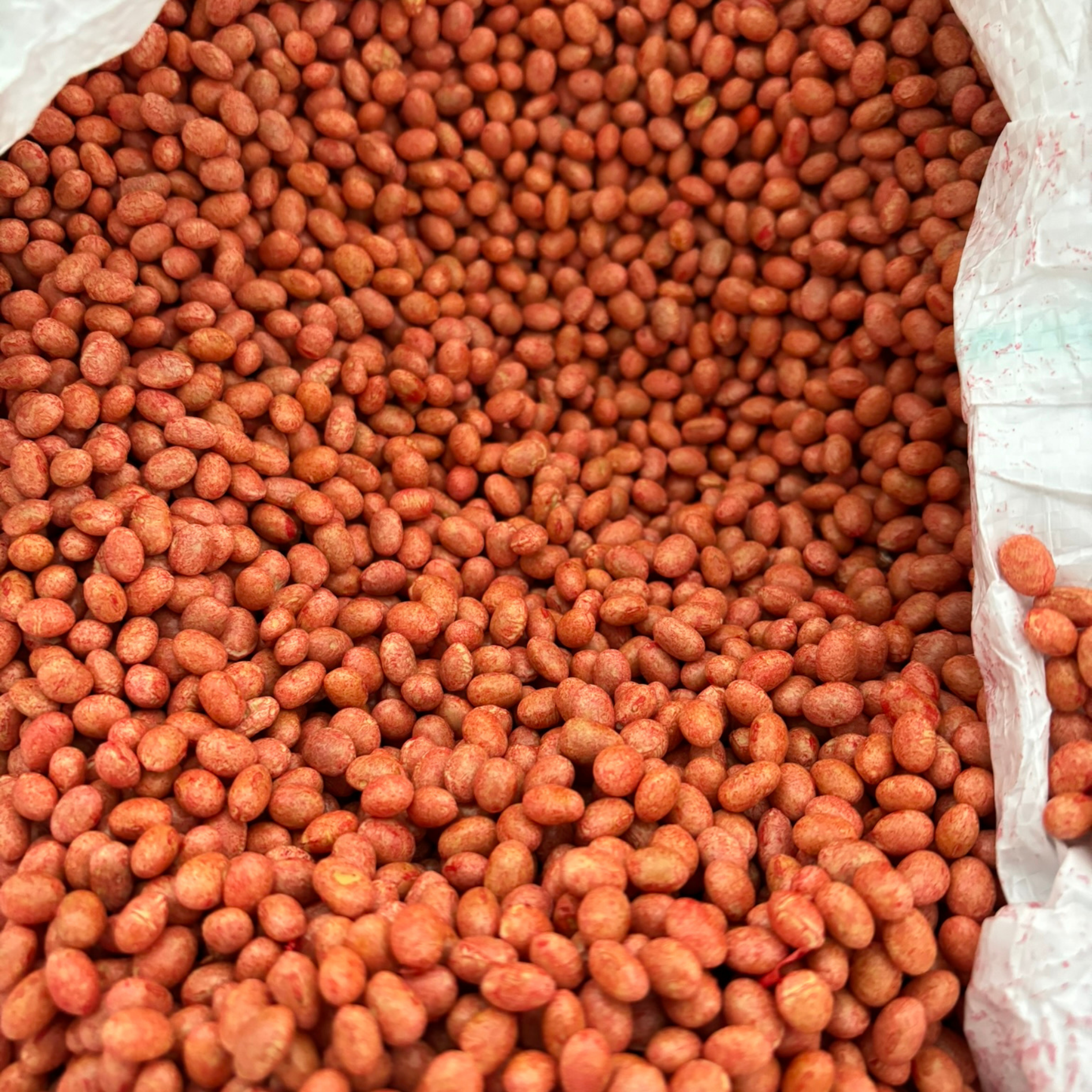 seed-coating-arevo-soy