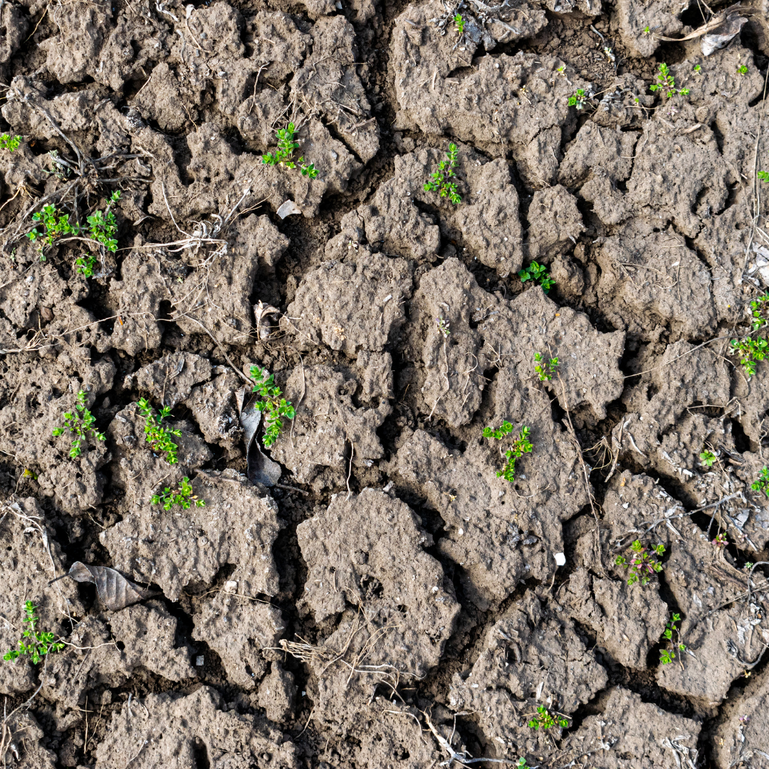 soil-degradation-disaster