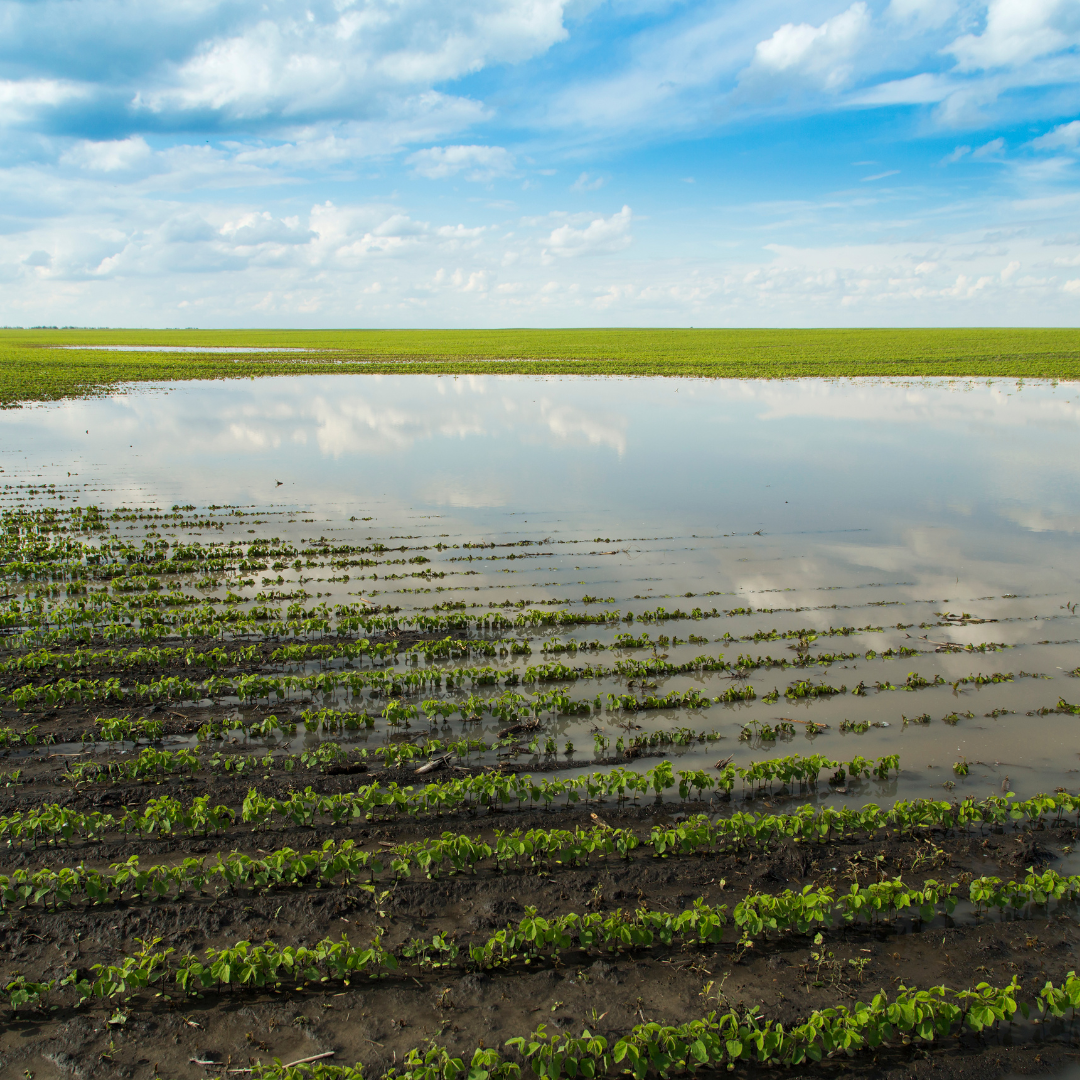 soil-degradation-harming-agriculture