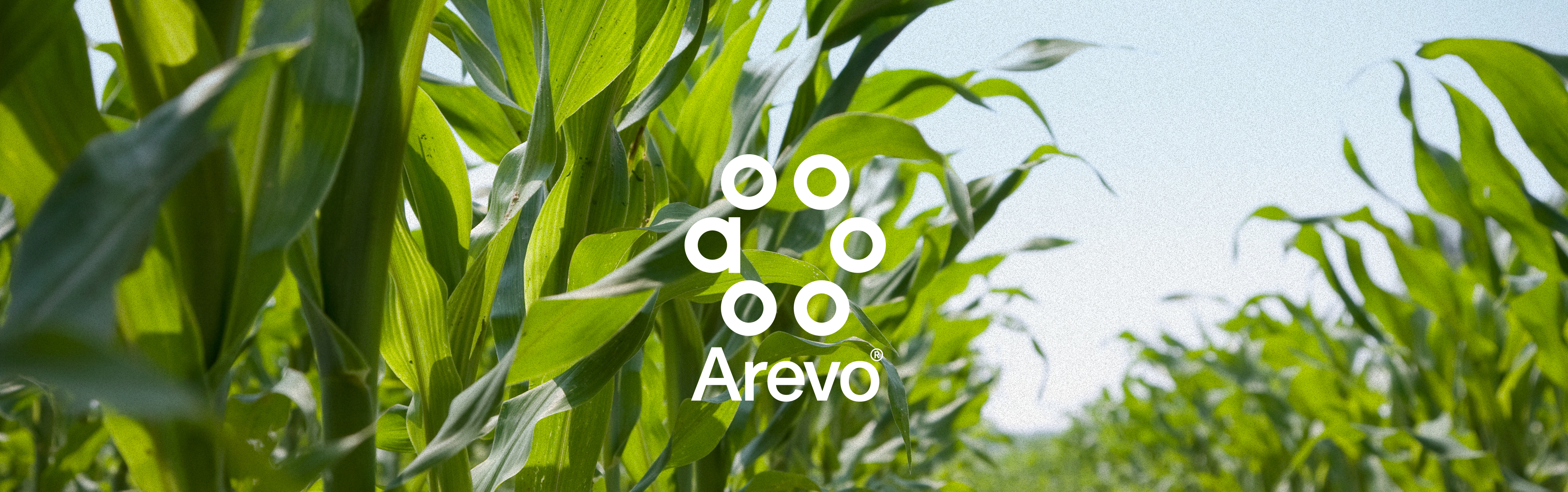 Arevo raises € 6,6 million