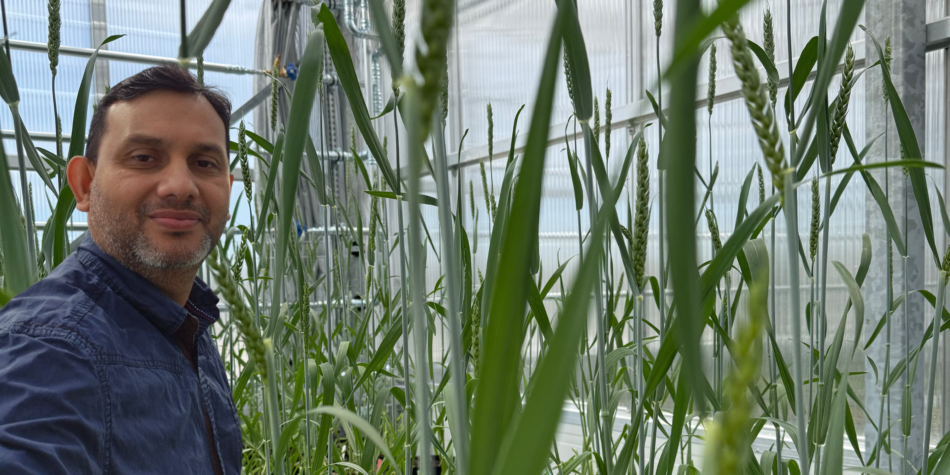 From Sri Lanka to Sweden: How Gayan found his way to Arevo greenhouse