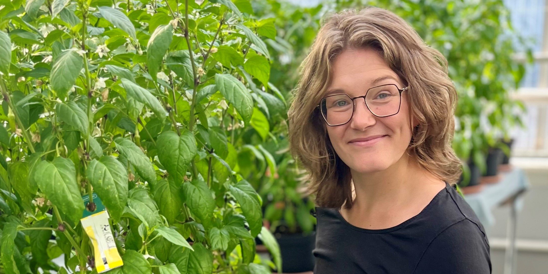 Welcome Sarah - new Greenhouse grower at Arevo