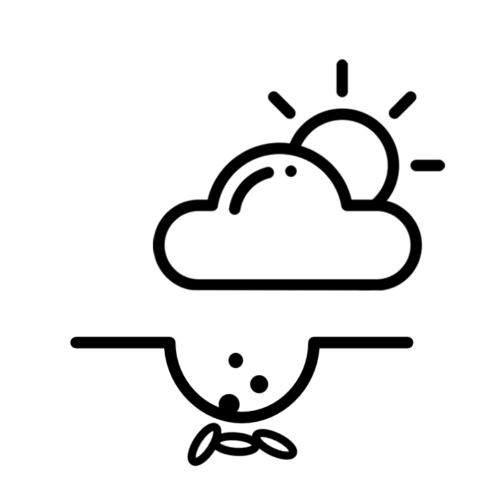 c9132993390656fc848b628426da4bcf